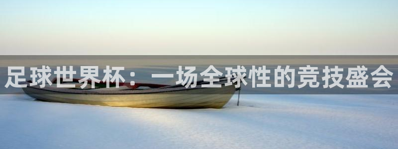 2026葡萄牙杯赛程表:足球世界杯:一场全球性的竞技盛会
