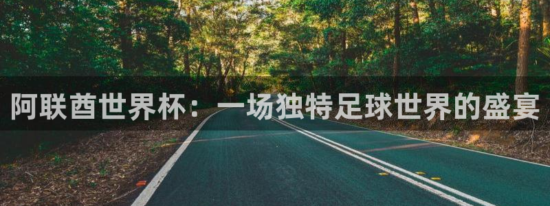 2026年世界杯赛程表时间:阿联酋世界杯:一场独特足球世界的盛宴