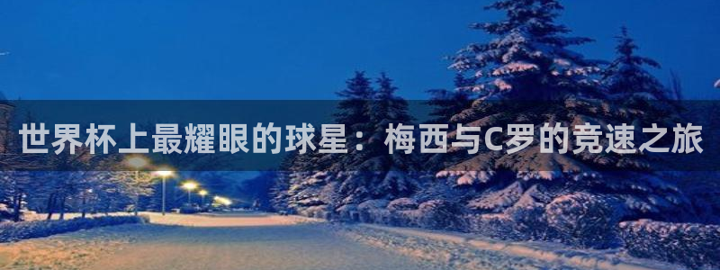 2026世界杯德国队阵容:世界杯上最耀眼的球星:梅西与C罗的竞速之旅