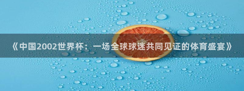 2006年世界杯冠军:《中国2002世界杯:一场全球球迷共同见证的体育盛宴》