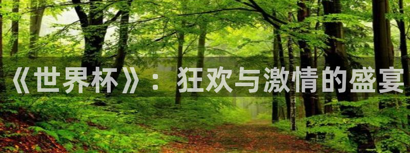 预选赛世界杯:《世界杯》:狂欢与激情的盛宴