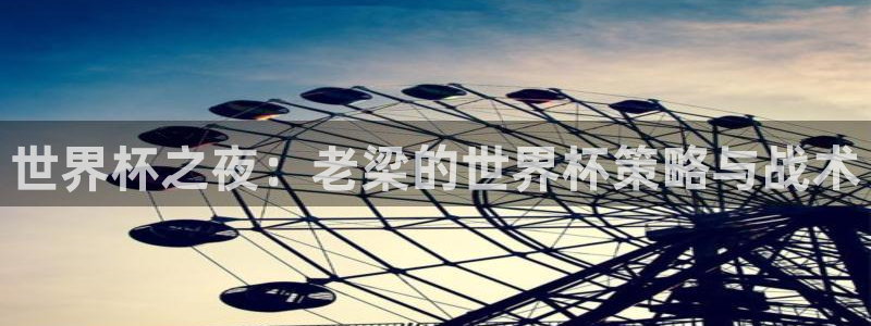 世界杯直播免费观看:世界杯之夜:老梁的世界杯策略与战术