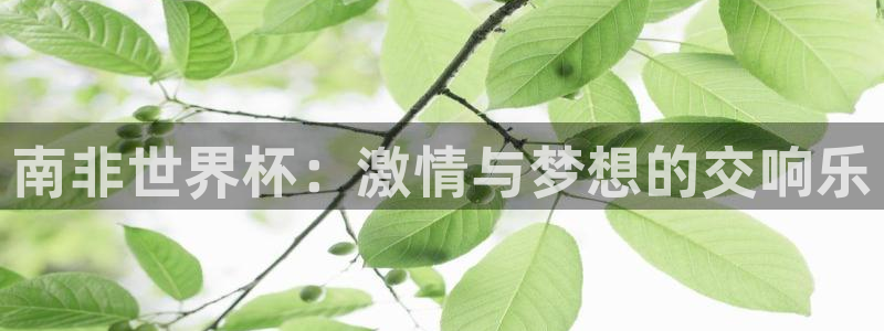 2026足球世界杯:南非世界杯:激情与梦想的交响乐