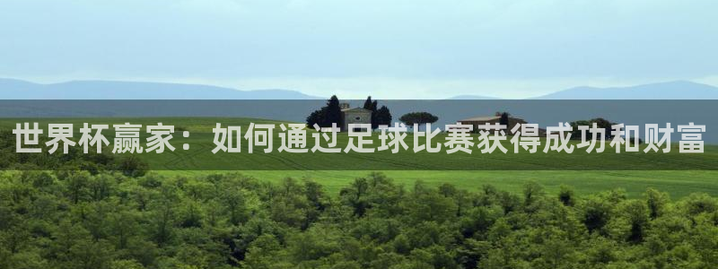 足球世预赛:世界杯赢家:如何通过足球比赛获得成功和财富