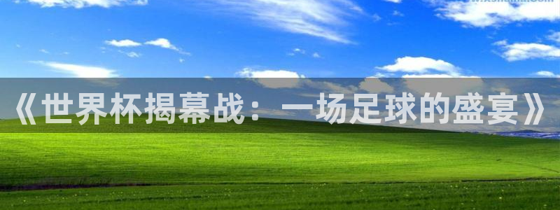 2026世界杯亚洲预选赛:《世界杯揭幕战:一场足球的盛宴》